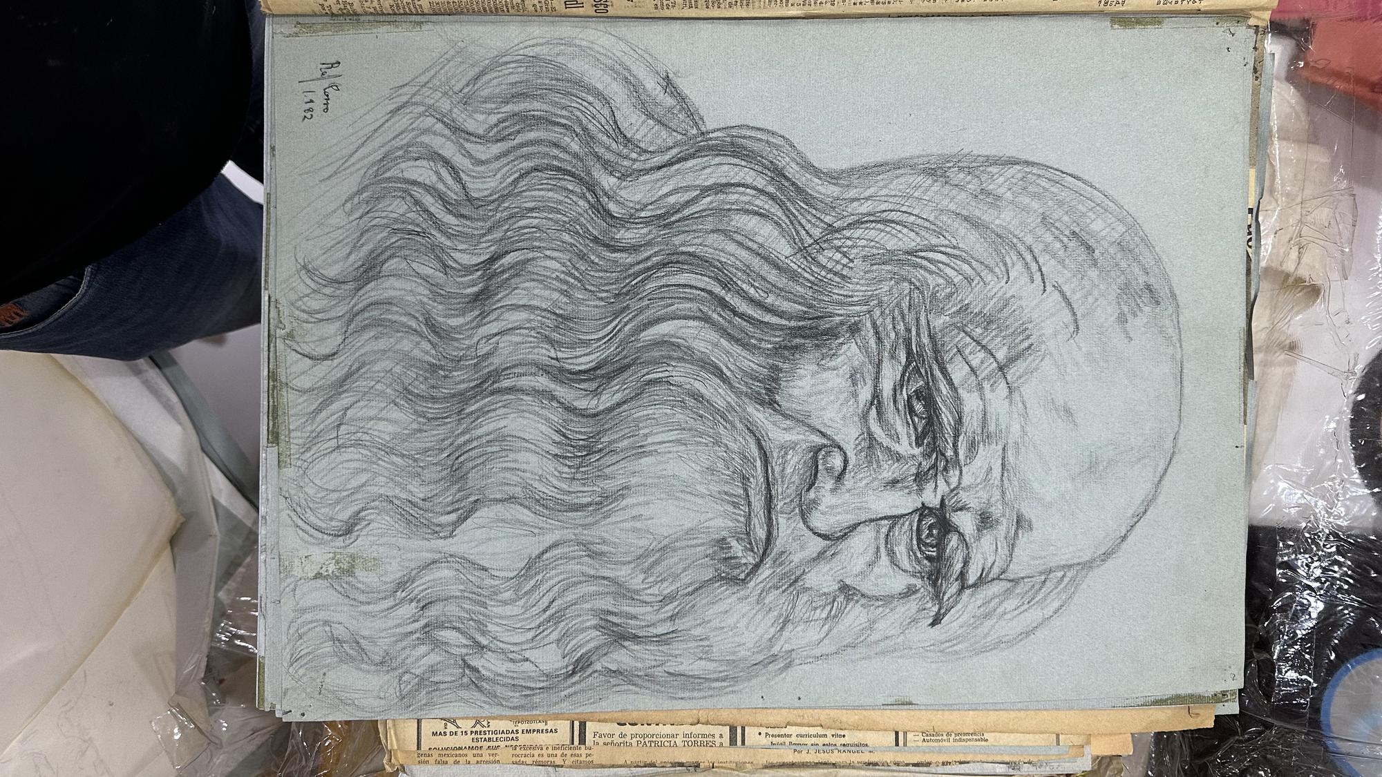 Portrait Drawing 132 - Dibujo de Retrato 132 - Rafael Corro