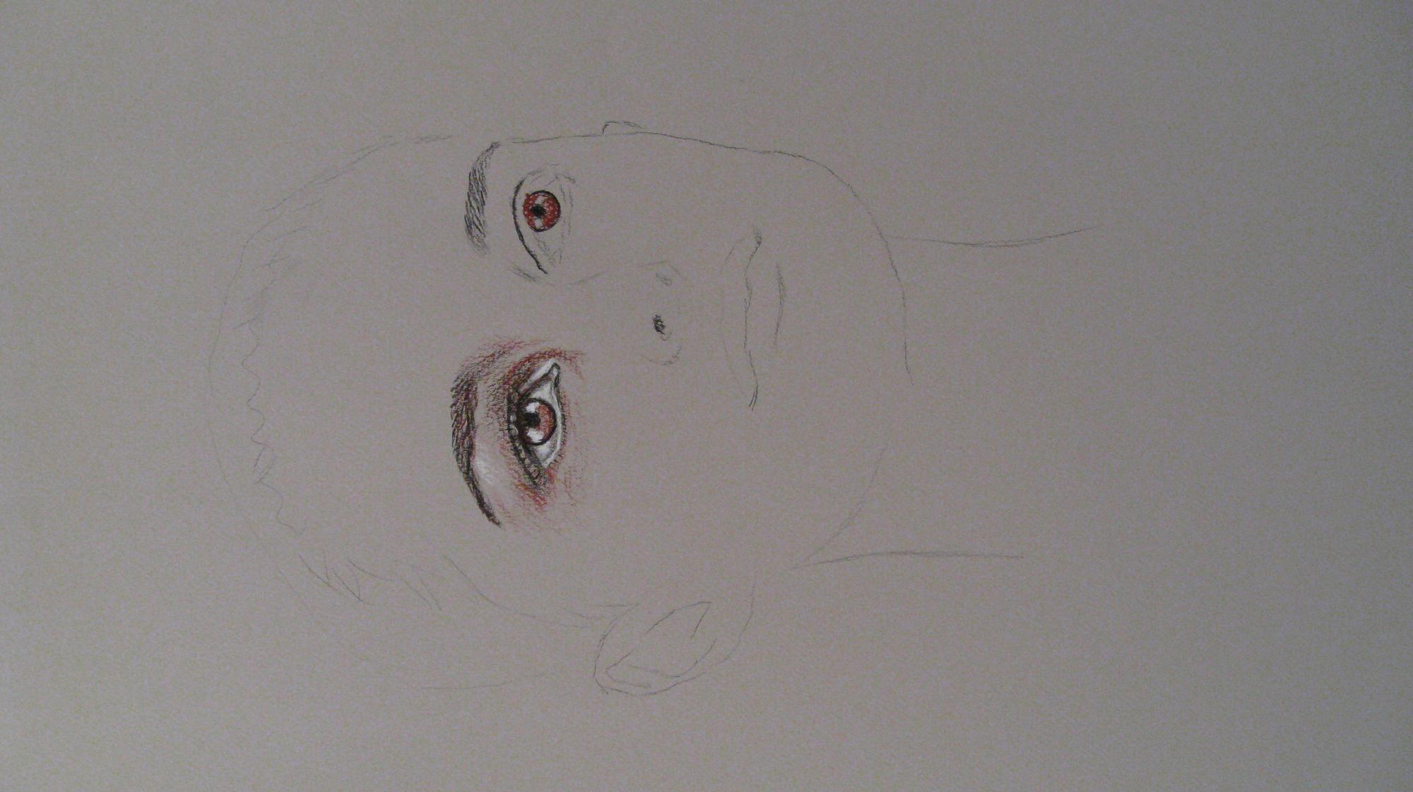 Portrait Drawing 65 - Dibujo de Retrato 65 - Rafael Corro